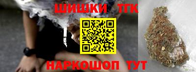 индика Бийск