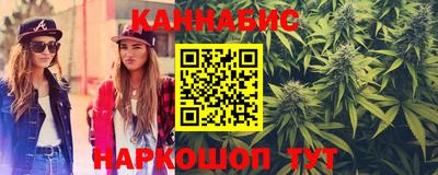 индика Бийск