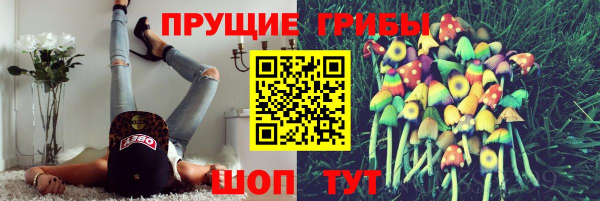 Псилоцибиновые грибы мицелий Избербаш